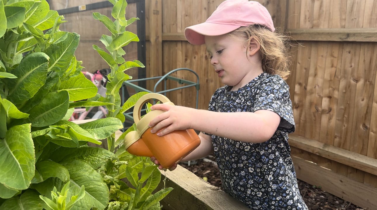 seymour nursery gardening