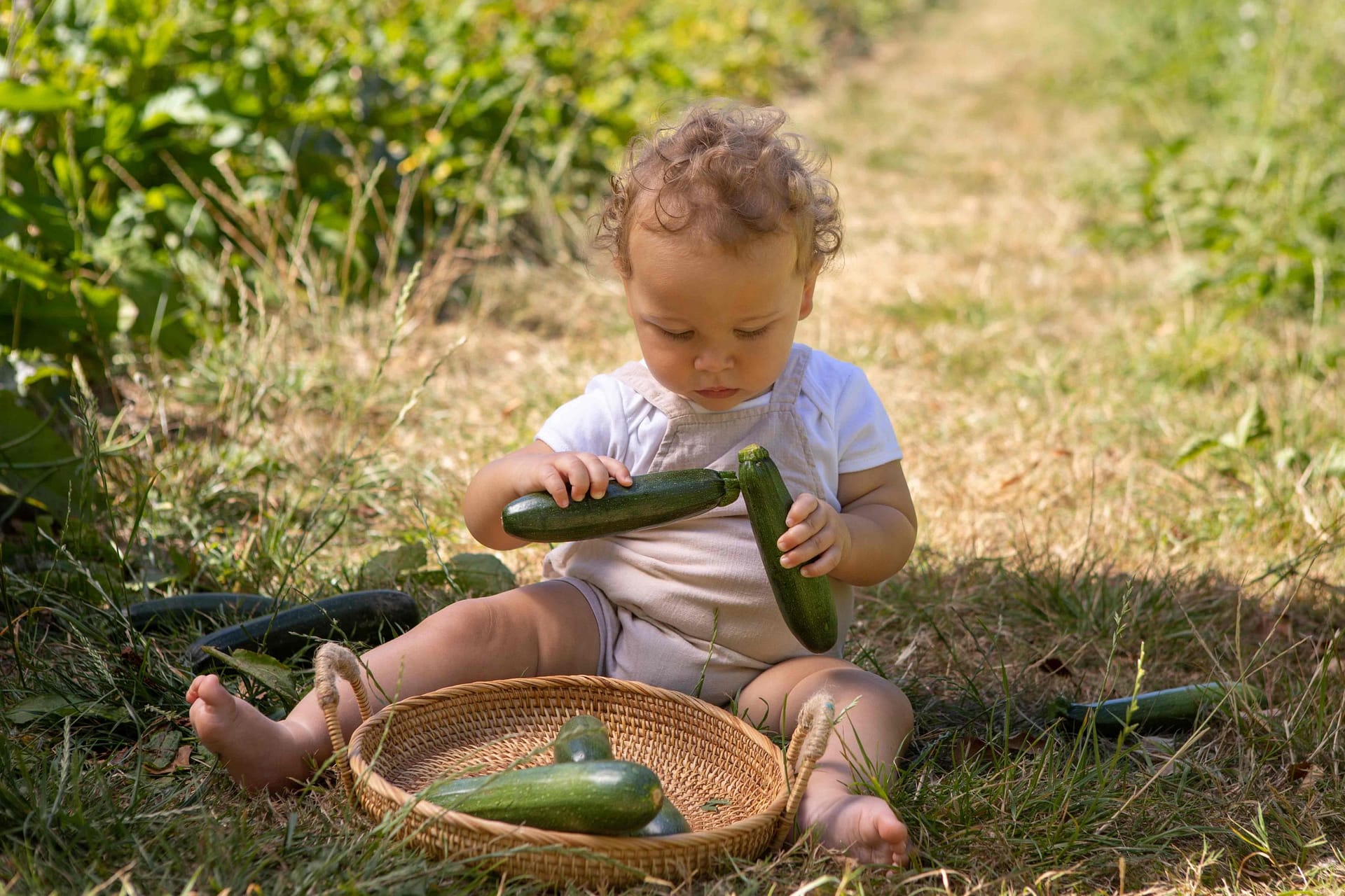 seymour nursery kitchen gardens
